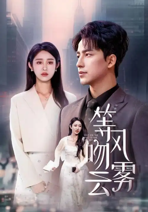 电视剧：破晓行动 海报